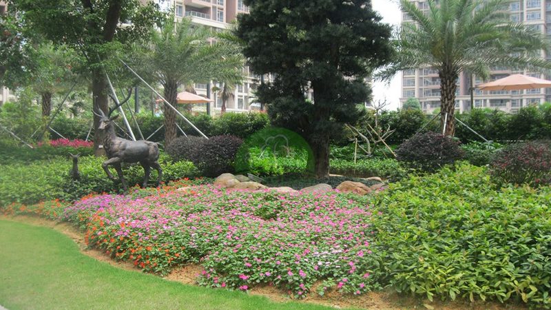 小庭院设计：如何巧妙分区，打造宜居空间**