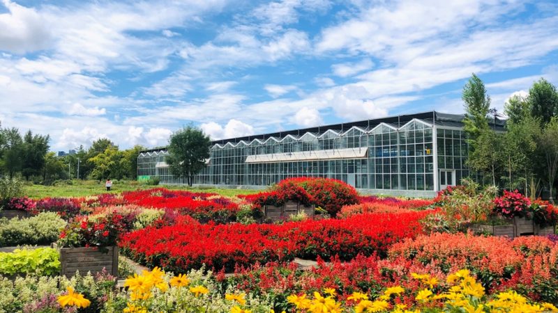 室内垂直绿化墙尺寸设计要点解析**