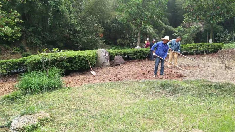 园林绿化苗木采购清单流程：关键步骤与注意事项**