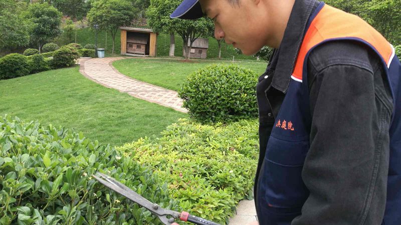 假山喷泉循环系统：揭秘其背后的技术奥秘**