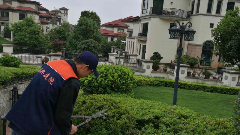 市政绿化苗木公司排名背后的考量因素**