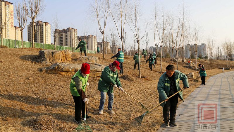 园林绿化土建交叉施工，哪些细节不容忽视？**