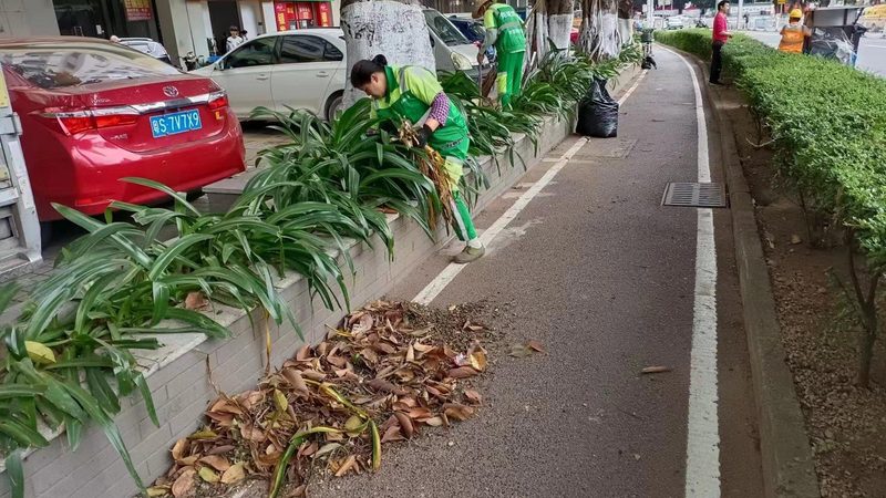 别墅庭院设计施工：如何打造私人绿意空间**
