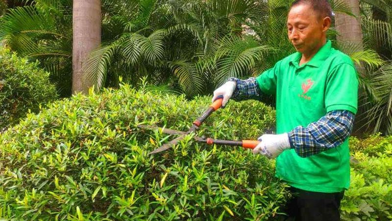 假山喷泉，报价几何？揭秘施工成本构成**