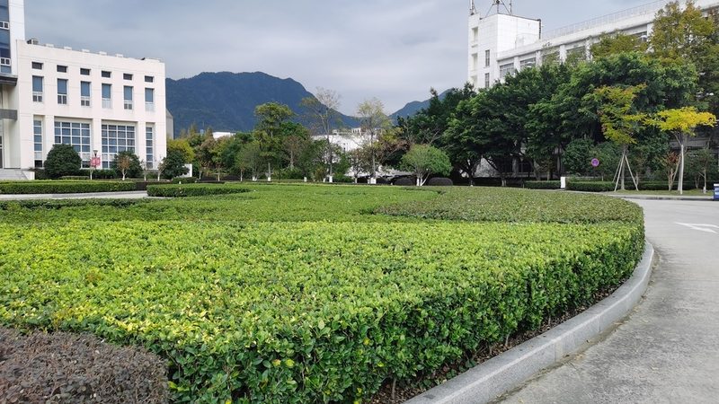 高尔夫球场草坪养护成本如何科学估算**